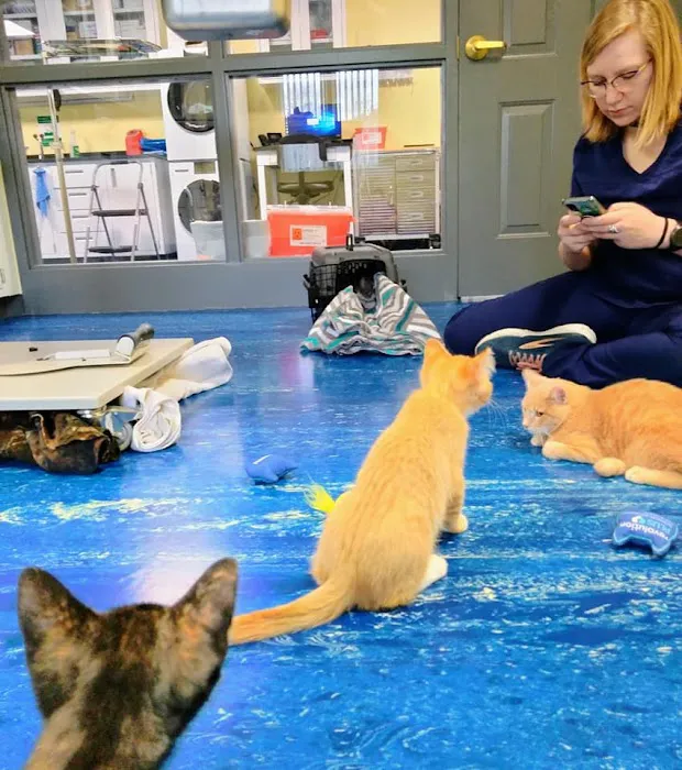Williamsport West Veterinary Hospital Picture 2