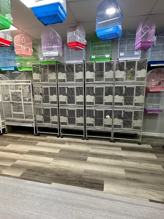 Rafas Pet Store Picture 7