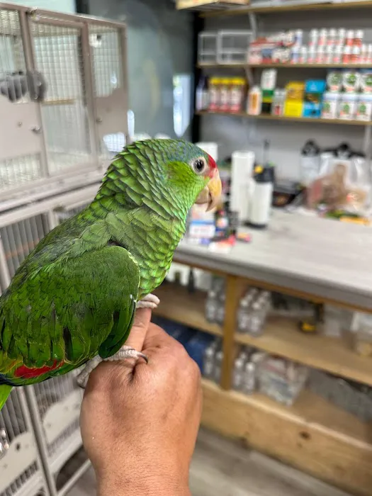 Rafas Pet Store Picture 8