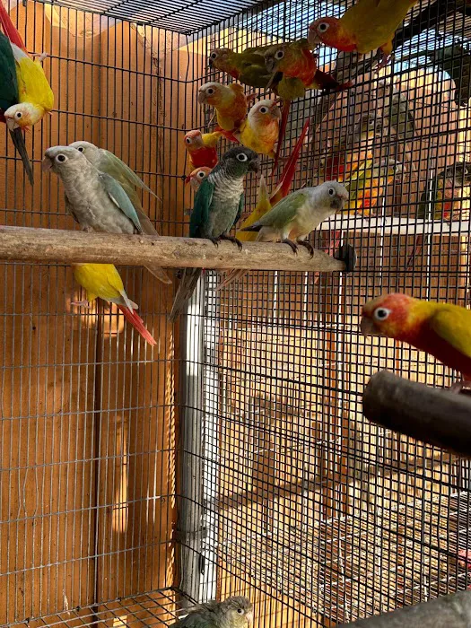 Rafas Pet Store Picture 2
