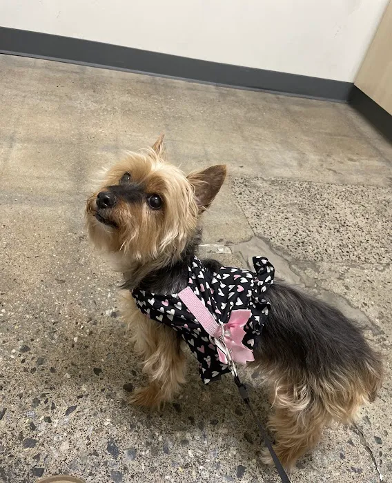Vetco Total Care Animal Hospital Picture 10