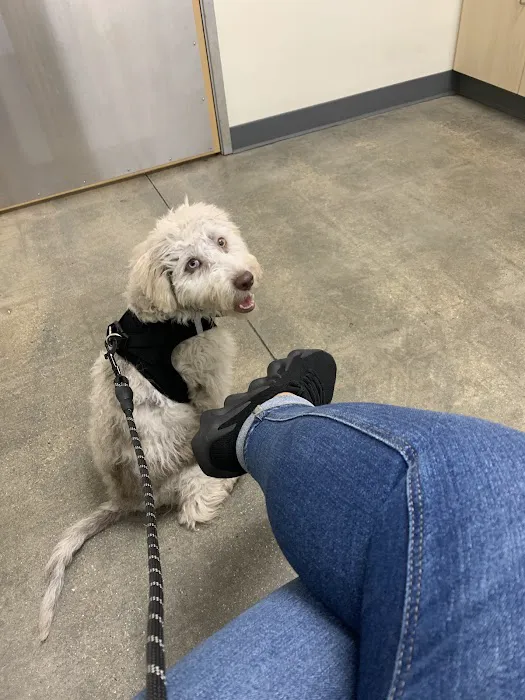 Vetco Total Care Animal Hospital Picture 8