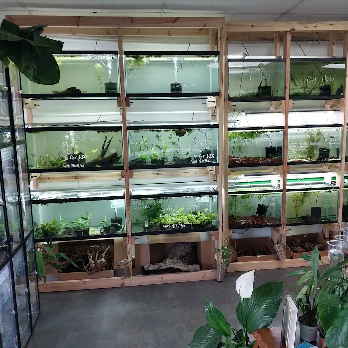 Arium Fauna & Flora Picture 3