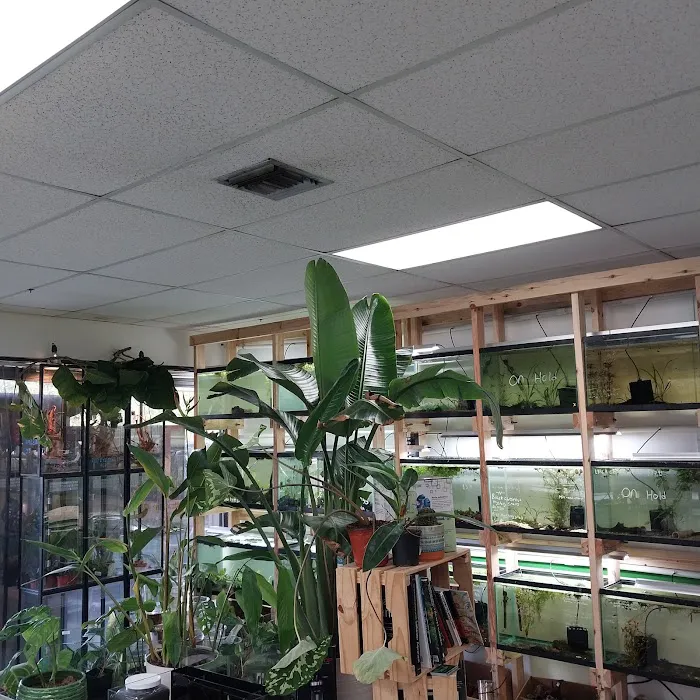 Arium Fauna & Flora Picture 10