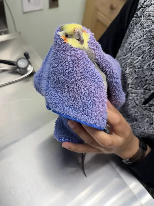 Paws, Wings & Scales Animal Hospital Picture 7