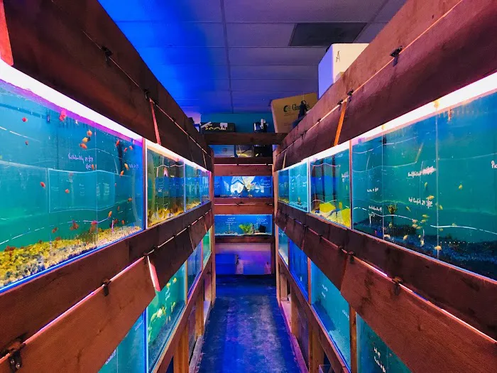 Pet world of Broward Picture 1