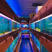 Pet world of Broward ico