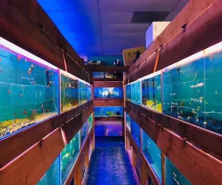 Pet world of Broward