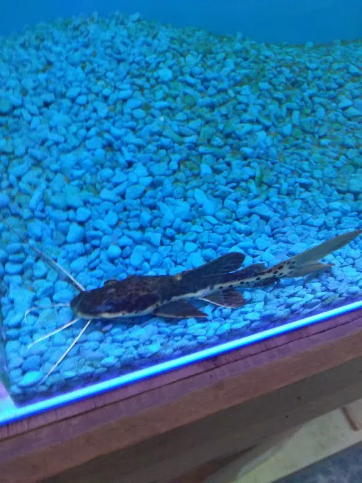 Pet world of Broward Picture 4