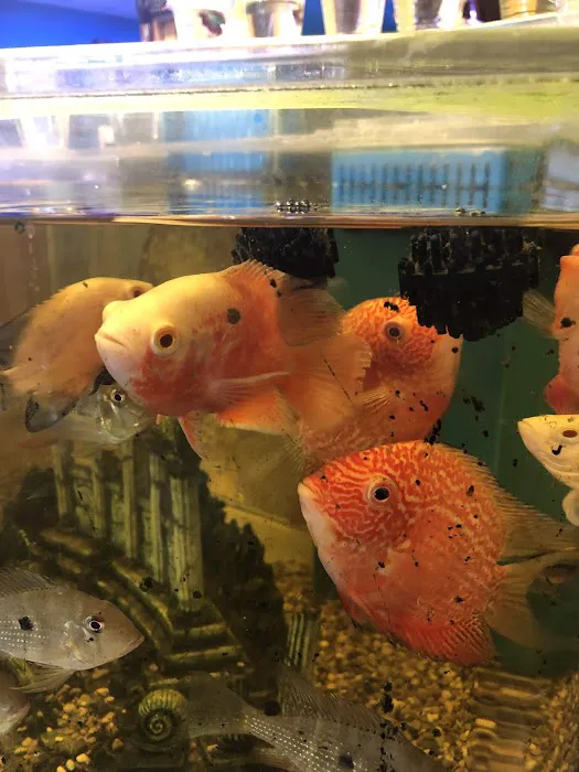 Pet world of Broward Picture 7