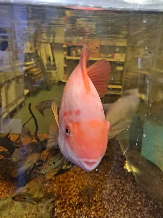 Pet world of Broward Picture 10