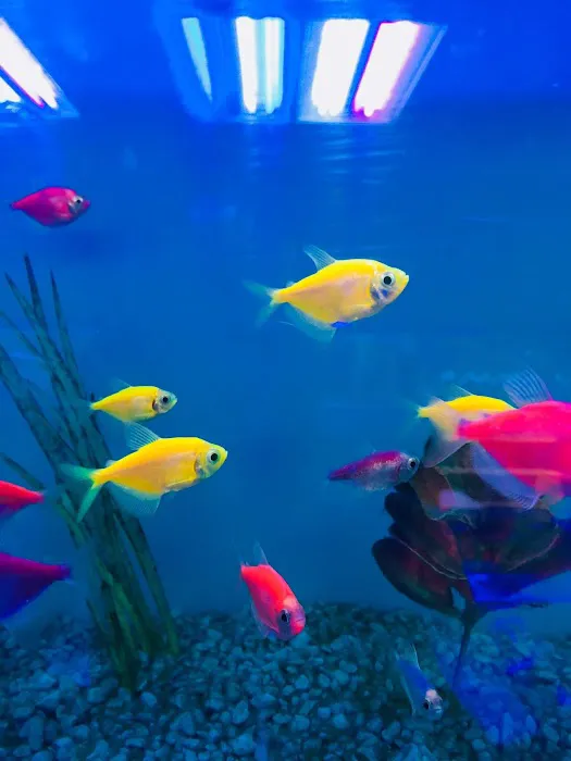 Pet world of Broward Picture 5
