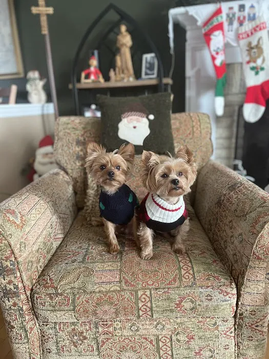 North Jersey Veterinary Hospital Picture 8