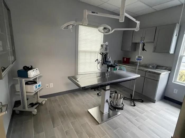 North Jersey Veterinary Hospital Picture 7