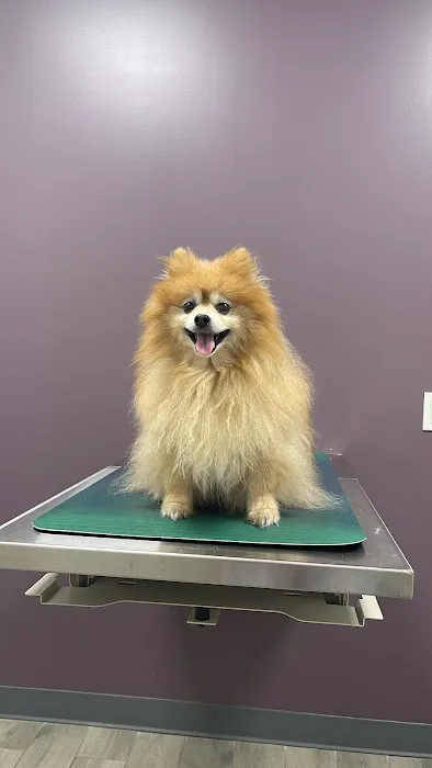 North Jersey Veterinary Hospital Picture 6