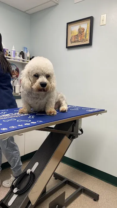 North Haledon Veterinary Care Picture 5