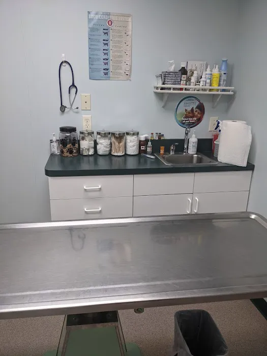 North Haledon Veterinary Care Picture 2
