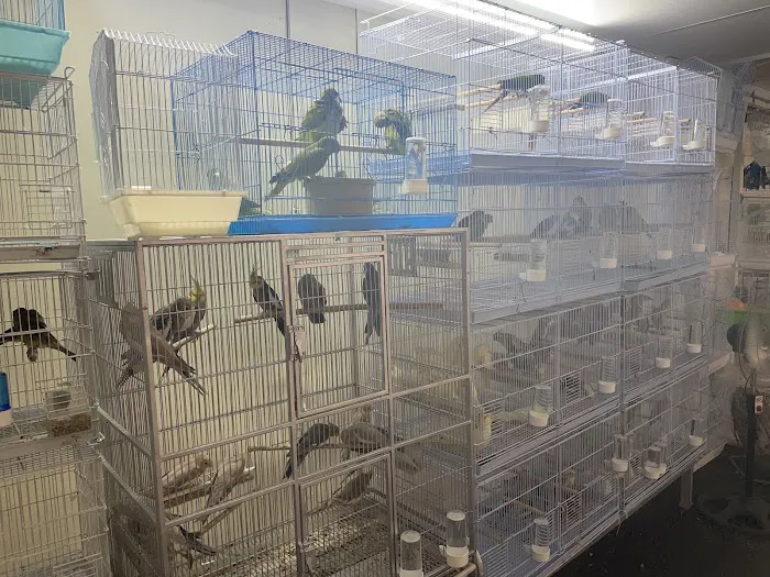 Francisco Pet Store and Supply Picture 8