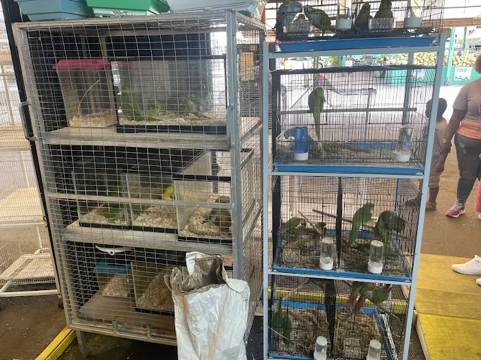 Francisco Pet Store and Supply Picture 3