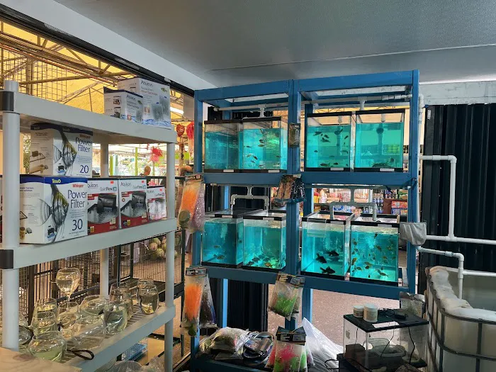 Francisco Pet Store and Supply Picture 10