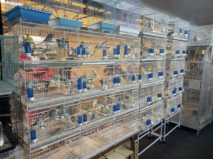 Francisco Pet Store and Supply Picture 7