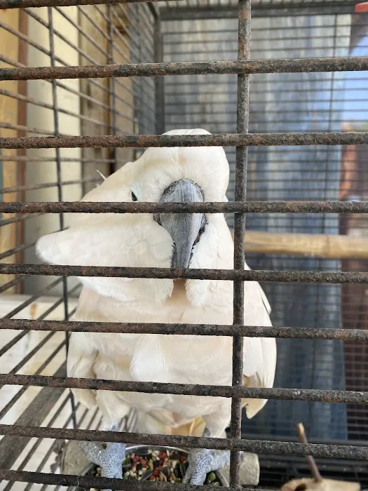 Francisco Pet Store and Supply Picture 2