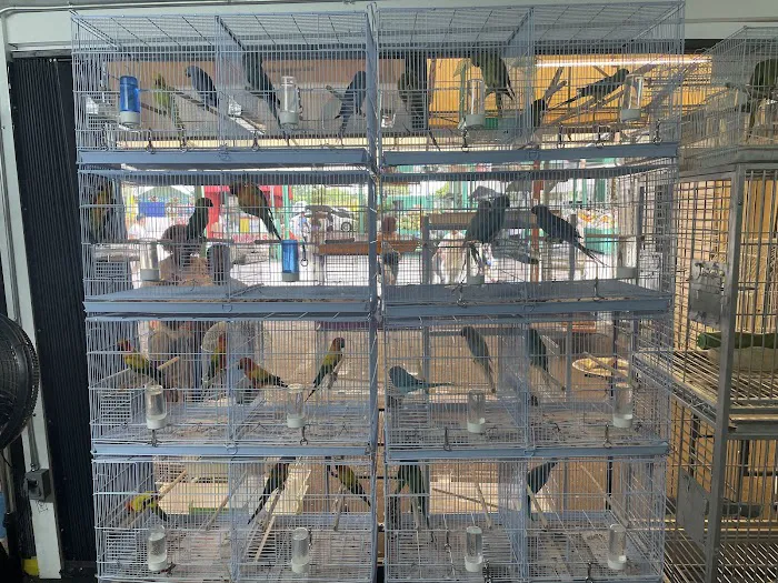Francisco Pet Store and Supply Picture 9