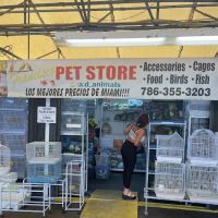 Francisco Pet Store and Supply ico