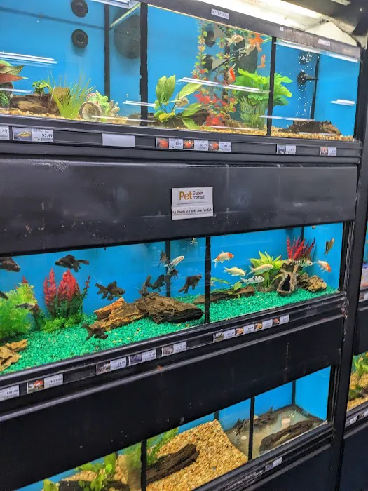 Pet Supermarket Picture 8