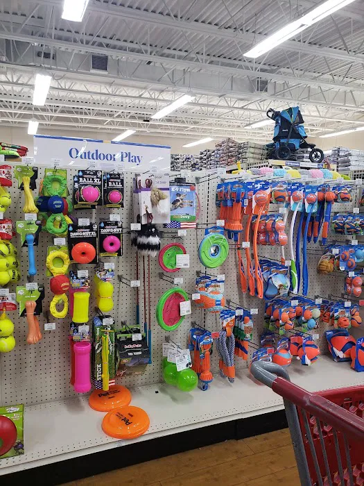 Pet Supermarket Picture 7
