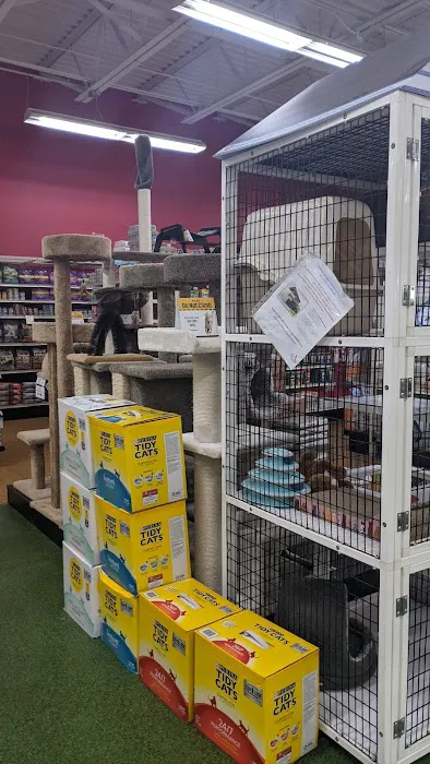 Pet Supermarket Picture 3