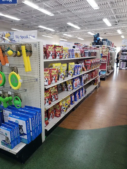 Pet Supermarket Picture 6