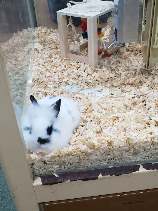 Pet Supermarket Picture 4