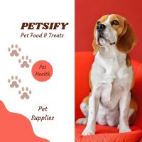 Petsify ico