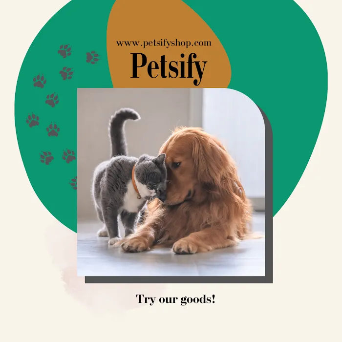 Petsify Picture 4