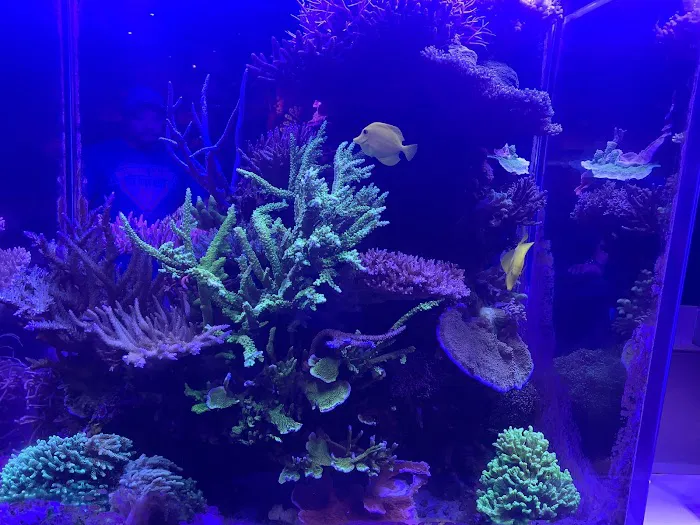 Fishy Dudes Aquarium Maintenance Picture 2