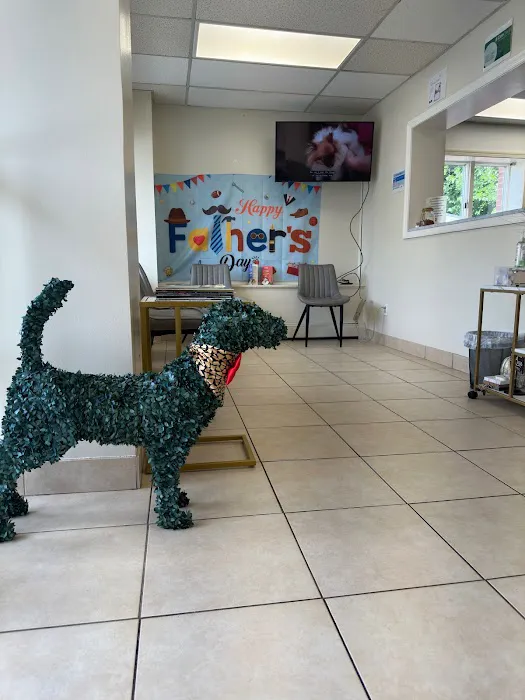 Lincoln Avenue Cat & Dog Hospital Picture 5