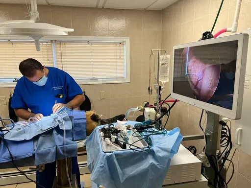 Lincoln Avenue Cat & Dog Hospital Picture 1