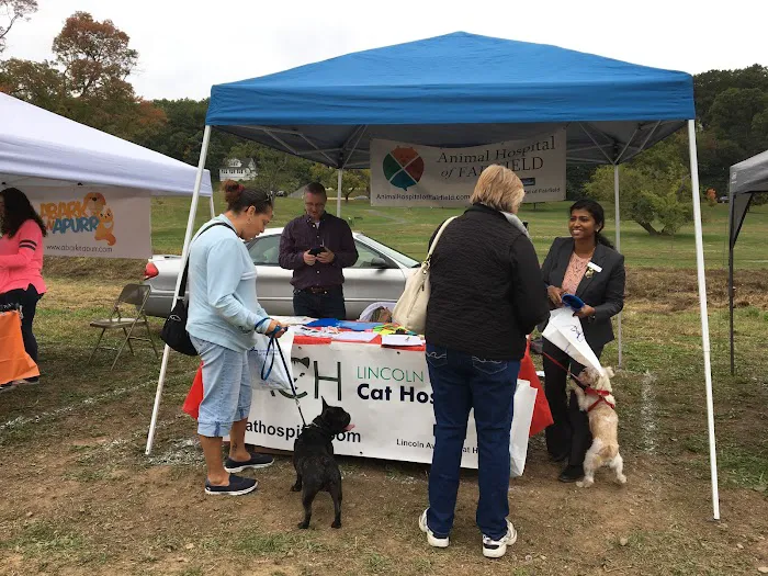 Lincoln Avenue Cat & Dog Hospital Picture 8