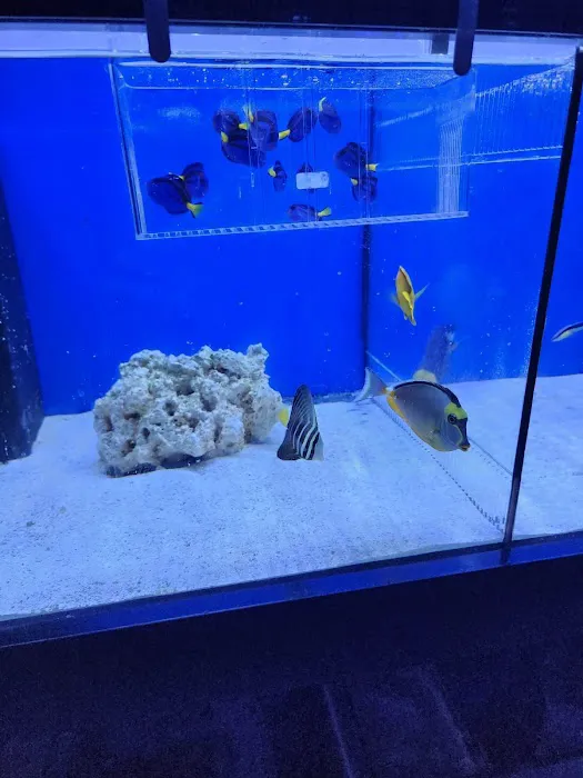 Miami Aquariums Picture 3