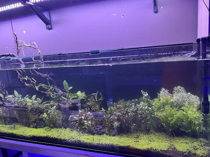 Miami Aquariums Picture 4