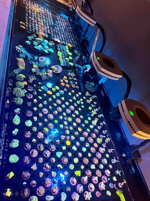 Miami Aquariums Picture 7
