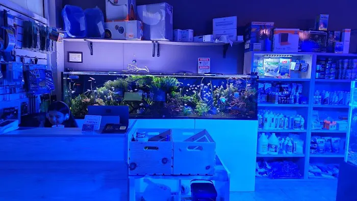 Miami Aquariums Picture 2