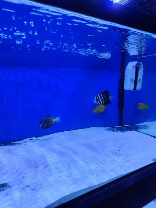 Miami Aquariums Picture 10