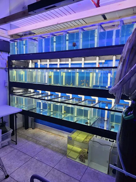 Miami Aquariums Picture 5