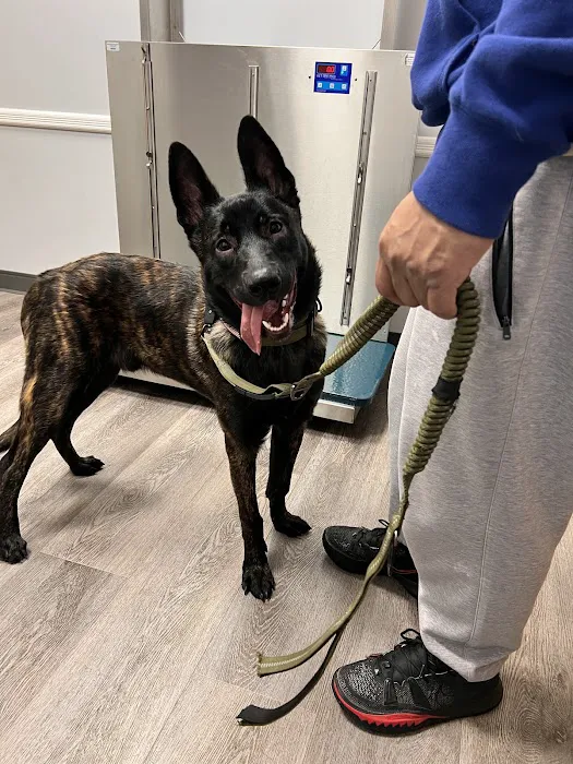 Franklin Lakes Animal Hospital Picture 4