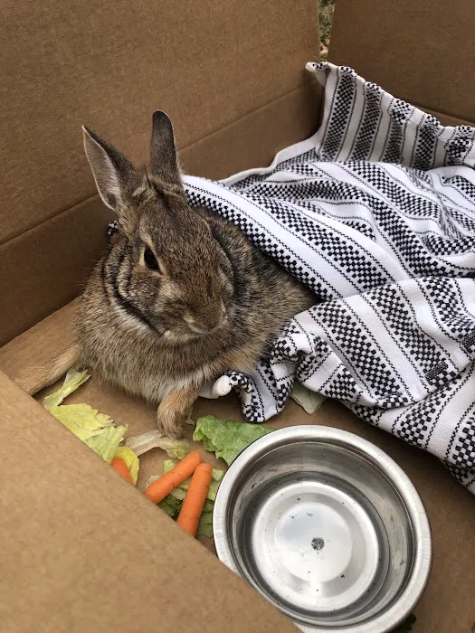 Franklin Lakes Animal Hospital Picture 10