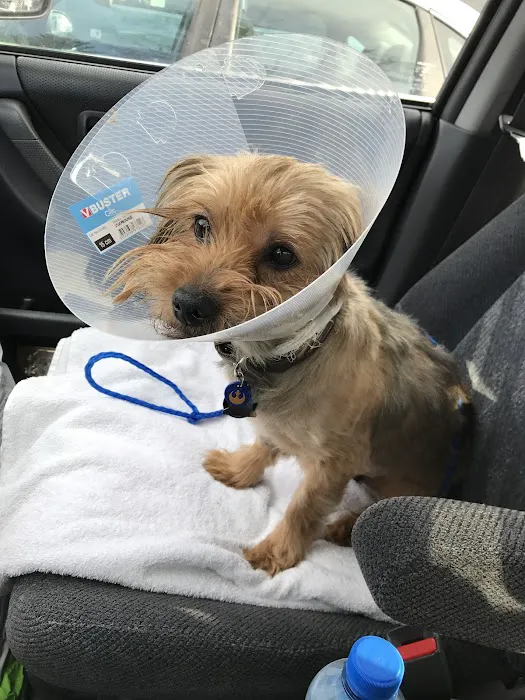 Franklin Lakes Animal Hospital Picture 9