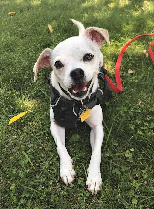 Franklin Lakes Animal Hospital Picture 7