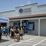 Puppy Mansion | Puppies in Miami | Premier Puppy Store